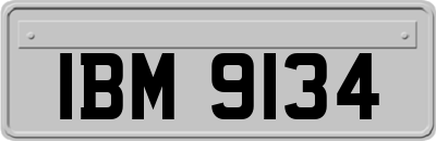 IBM9134