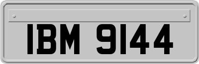 IBM9144