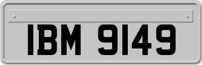 IBM9149