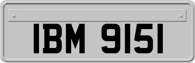 IBM9151