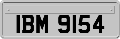 IBM9154