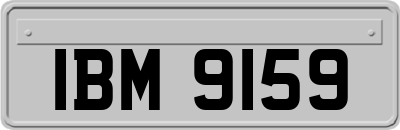 IBM9159