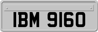 IBM9160