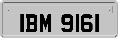 IBM9161