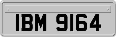 IBM9164