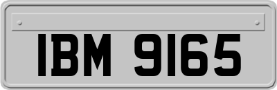 IBM9165