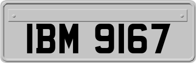 IBM9167