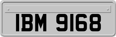 IBM9168