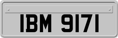 IBM9171