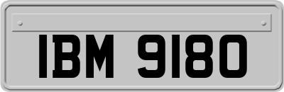 IBM9180