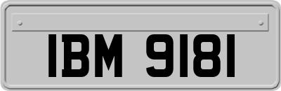 IBM9181