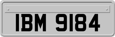 IBM9184