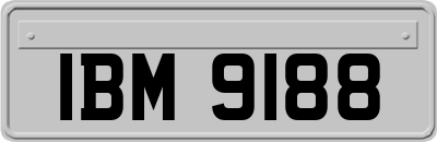 IBM9188