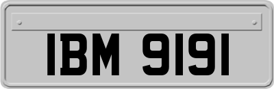 IBM9191