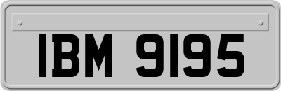 IBM9195