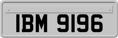 IBM9196