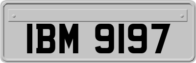 IBM9197