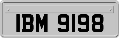 IBM9198