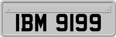 IBM9199