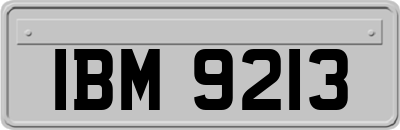 IBM9213