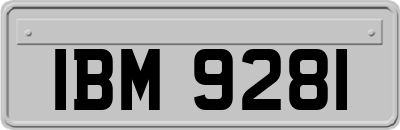 IBM9281