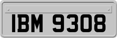 IBM9308