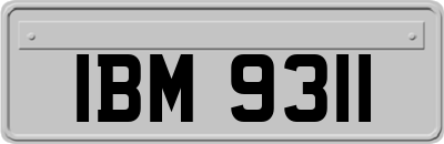 IBM9311