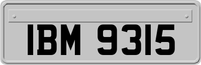 IBM9315