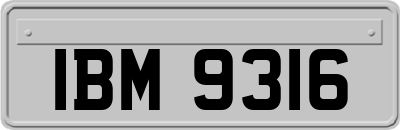 IBM9316