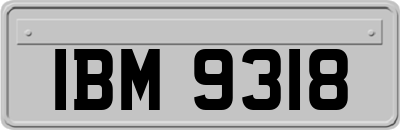 IBM9318