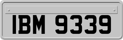 IBM9339