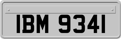 IBM9341