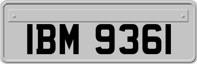 IBM9361