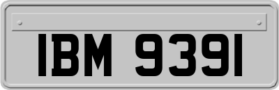 IBM9391