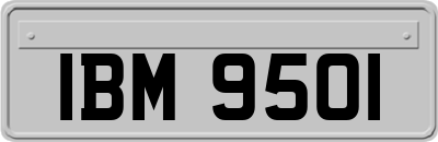 IBM9501