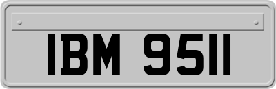 IBM9511