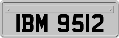 IBM9512