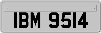 IBM9514