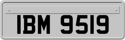 IBM9519