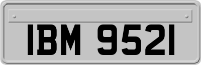 IBM9521