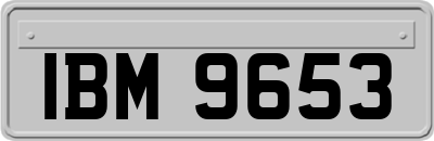 IBM9653