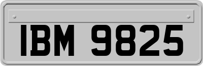 IBM9825