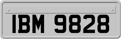 IBM9828