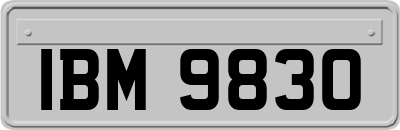 IBM9830