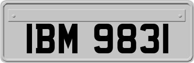 IBM9831