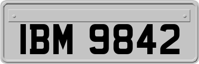 IBM9842