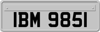 IBM9851