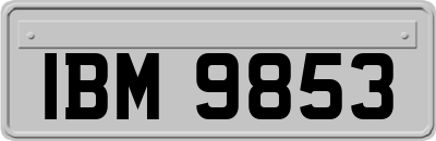 IBM9853