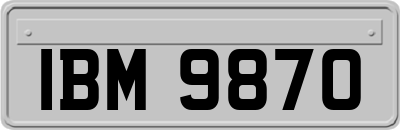 IBM9870