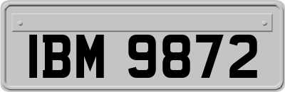 IBM9872